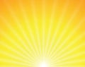 Vector sun on yellow background