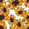 Vector Sunflower floral botanical flower. Orange and brown engraved ink art. Seamless background pattern. Royalty Free Stock Photo