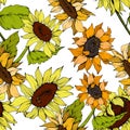 Vector Sunflower floral botanical flower. Yellow and green engraved ink art. Seamless background pattern.