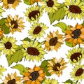 Vector Sunflower floral botanical flower. Yellow and green engraved ink art. Seamless background pattern.