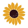 Vector Sunflower Illustration. Summer Flower Clipart.