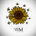 Vector Sunflower Isolated With Bees. Hand Drawn Flat Sunflower Illustration. Summer Flower Clipart. Wildflower Poster