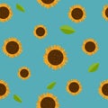 Vector Sunflower Isolated On Blue Background. Hand Drawn Flat Sunflower Illustration. Summer Flower Clipart. Wildflower
