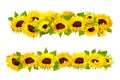 Vector sunflower seeds frame. Graphic object