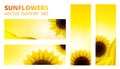 Vector sunflowers banner