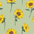 Vector Sunflowers in Natural Colosr on Soft Pastel Green seamless pattern background. Perfect for fabric, scrapbooking