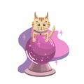 Vector surprised cat hugs a magic ball.