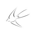 Vector swallow flying design on white background. Bird. icon. Wild Animals. symbol. logo. Illustrator