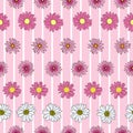 Vector sweet baby pink background pink daisy flowers and wild flowers. Seamless pattern background Royalty Free Stock Photo