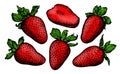 Vector sweet and fresh red strawberry set. Farm organic food Royalty Free Stock Photo