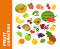 Vector sweet fruits icons set.