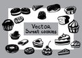 Vector Sweet pastry