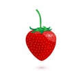 Vector sweet strawberry isolated on white background. Royalty Free Stock Photo