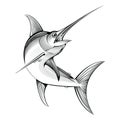 Vector swordfish. engraving illustration Royalty Free Stock Photo