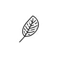 Vector symbol icon. Hand Drawn Doodle Tree Leaf logo. Happy Thanksgiving Day greeting card template design isolated on white Royalty Free Stock Photo