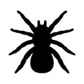 Vector tarantula spider silhouette