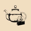 Vector tea set illustration. Hand drawn sketch of transparent glass kettle with teabag for cafe, restaurant drink menu