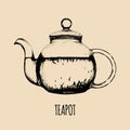 Vector teapot illustration. Hand drawn transparent glass kettle sketch for cafe, restaurant drink menu.