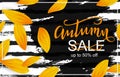 Vector template banner for autumn sale tag design Royalty Free Stock Photo