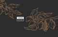 Vector template of cocoa tree branch