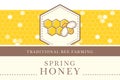 Vector template with seamless pattern - natural honey collection