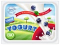 Vector template stickers for packing yogurt with blueberries on