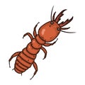 Vector termite. Ant on a white background. Vector illustration. Royalty Free Stock Photo