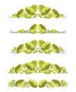 Vector text dividers with Chinese cabbage in origami style