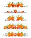 Vector text dividers with grapefruit and flower Royalty Free Stock Photo