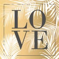Vector text Love gold with palm leaves illustration Royalty Free Stock Photo