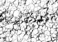 Vector texture of black and white withered earth with cracks