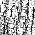 Vector texture tree bark textured effect, vector texture uneven scratch background Royalty Free Stock Photo