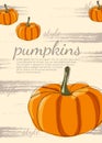 Vector Thanksgiving day invitation or Halloween greeting banner, poster templates. Hand drawn pumpkins Royalty Free Stock Photo