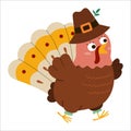 Vector Thanksgiving turkey in pilgrim hat. Autumn bird icon. Fall holiday running animal with bulging eyes isolated on white