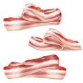 Vector thin bacon strips, fat slices of pork meat