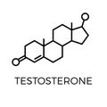 Vector thin line icon of testosterone molecular structure. Chemical formula