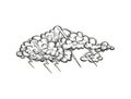 Vector thundercloud, illustration in engraved style. Hand drawn storm cloud with zippers, pencil sketch.