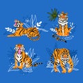 Vector tiger funny set on blue background. Flat design isolated element. Wildlife animal illustration Royalty Free Stock Photo