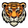 Tiger head Royalty Free Stock Photo