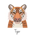 Vector tiger head isolated. Flat style, cartoon object Royalty Free Stock Photo