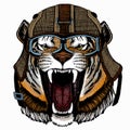 Vector tiger portrait. Animal head. Royalty Free Stock Photo