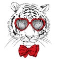 Vector tiger wearing glasses with hearts. St. Valentine's Day.