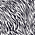 Vector Tiger white black stripe pattern. Tiger seamless tiling background. Royalty Free Stock Photo