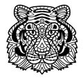 Vector Tiger. Zentangle Tiger face illustration, Tiger head