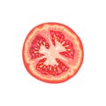 Vector tomato slice. Tomato illustration