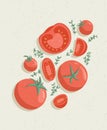 Vector tomatoes cartoon illustration with textures. Healthy organic tomato slices and rosemary.