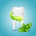Vector tooth around a protective green arrow and mint leaves on a blue background. Royalty Free Stock Photo