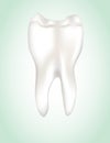 Vector Tooth Royalty Free Stock Photo