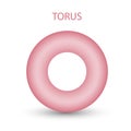 Vector torus with gradients and shadow for game, icon, package design, logo, mobile, ui, web, education. 3d donut on a