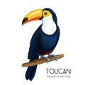 Vector toucan bird